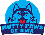 Mutty Paws NWA | Dog Boarding and Doggy Daycare